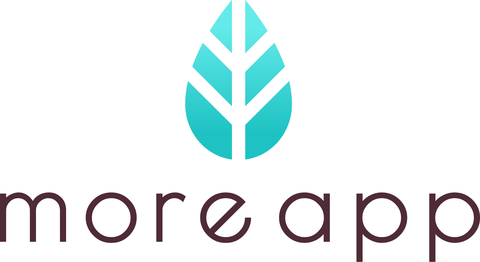 moreapp.67aa417f (1)